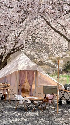 a tent set up in the middle of a field with cherry blossom trees around it