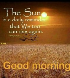 the sun is a daily reminder that we too can rise again good morning, sunrise