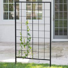 a black trellis with green plants growing on it in front of a white house