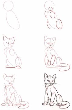 some drawings of cats sitting down and one cat is looking at the camera with its eyes closed