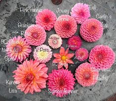 pink and yellow flowers are arranged in the shape of a heart on a stone slab