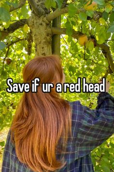 Facts About Gingers, Hairstyles For Redheads, Ginger Pfp, Blue Eyes Red Hair, Weird Thanksgiving, Ginger Facts, Ginger Quotes, Redhead Aesthetic, Redhead Facts