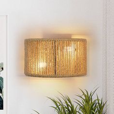 a lamp that is on the wall next to a potted plant and some pictures