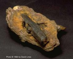 a piece of rock with a lizard on it's back end sitting on a black surface