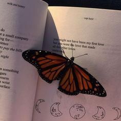 a butterfly is sitting on top of an open book