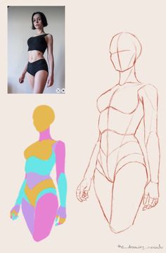 a drawing of a woman's torso and the shape of her body in different colors