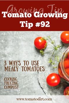 tomatoes in a jar with text overlay reading tomato growing tips tip 92