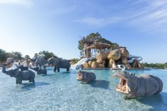 several hippopotamus in the water at an animal park