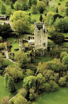 an old castle surrounded by trees in the middle of a lush green field with lots of grass