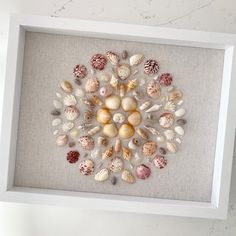 there is a framed picture with shells in it