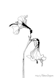 a black and white drawing of two flowers