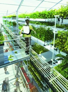 an artist's rendering of a greenhouse with plants growing on the walls and people walking around