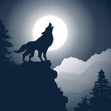 a wolf standing on top of a mountain at night