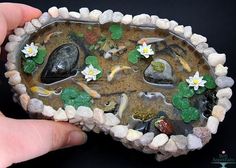 a hand holding a rock with water plants and rocks in the shape of a fish bowl