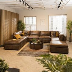 a living room filled with lots of furniture next to plants and potted plants on the floor