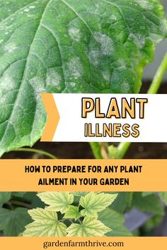 a plant with the title how to prepare for any plant allment in your garden