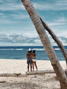 two people are standing on the beach by some palm trees and looking at the ocean