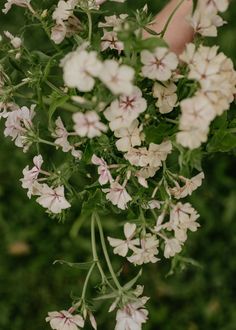 a bunch of flowers that are in someone's hand on some grass and dirt