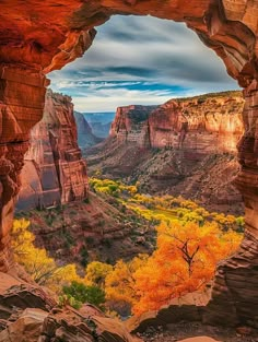 an open window in the side of a mountain with trees and rocks surrounding it, looking out onto a valley below