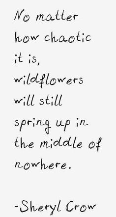 a quote from sheryl crow about how chaotic it is, wildflowers will still spring up in the middle of nowhere