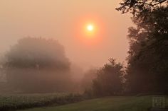 the sun is setting behind some trees and fog in the sky over a grassy field