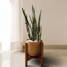 a potted plant sitting on top of a wooden stand in front of a window