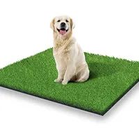 a dog sitting on top of a green mat