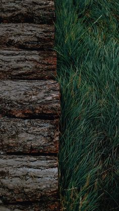 a cell phone laying on top of a pile of wood next to grass and logs