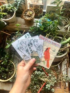 a person holding four cards in their hand near some plants and potted plants on the table