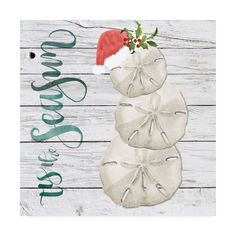 two sand dollars are stacked on top of each other with santa's hat on