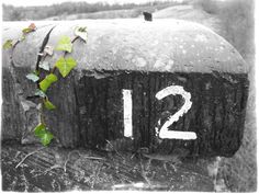 an old mailbox with ivy growing on it's side and the number twelve