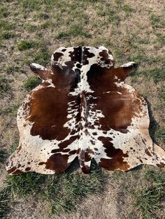 a brown and white spotted cow laying on the ground