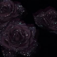 three purple roses with sparkles on them