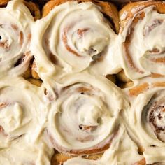 cinnamon rolls with cream cheese frosting in a baking pan, ready to be eaten