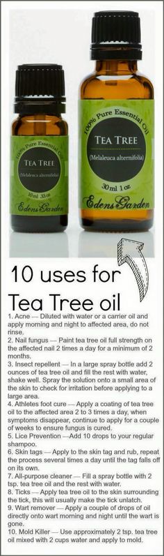 Tea Tree Oil Uses, Lice Prevention, Tick Removal, Info Board, Medicine Cabinets, Diy Remedies, Bug Spray, Young Living Oils, Homemade Remedies