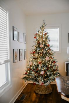 a small christmas tree in a basket on the floor next to a window with shutters