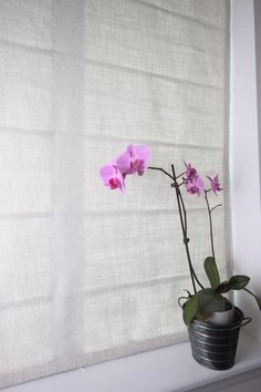 a potted plant sitting on top of a window sill next to a curtain