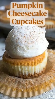 pumpkin cheesecake cupcakes with whipped cream on top