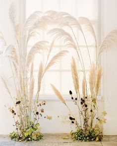 two vases with flowers and plants in front of a white wall, one is filled with grass