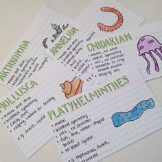 four notebooks with writing on them and pictures of animals, fish, and jellyfish