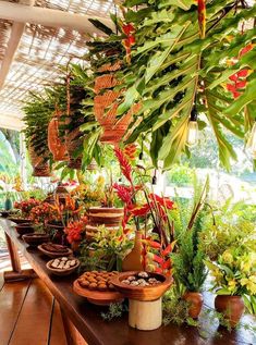 a long wooden table topped with lots of potted plants next to trees and flowers