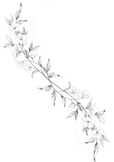 a black and white drawing of some flowers