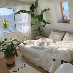 a bedroom with a bed, plant and window