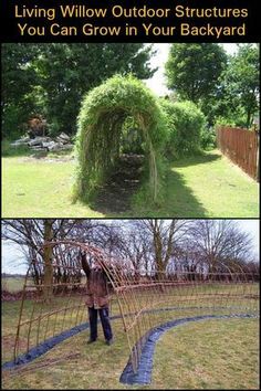 a man standing next to a lush green tree covered in vines and grass with the caption living willow outdoor structures you can grow in your backyard