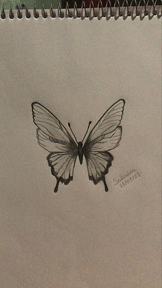 a drawing of a butterfly on a piece of paper