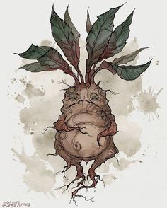 a drawing of a plant with leaves growing out of it's head and roots