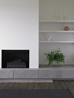 a living room with a fireplace, shelves and a plant in the corner on top of it