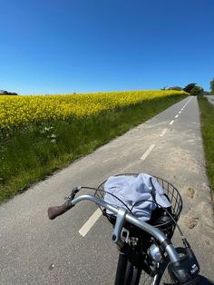 a bike parked on the side of a road next to a yellow canola field