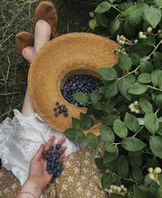 a person laying on the ground with their feet up next to some blueberries in a straw hat