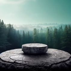 an empty stone table in the middle of a forest with foggy sky and trees